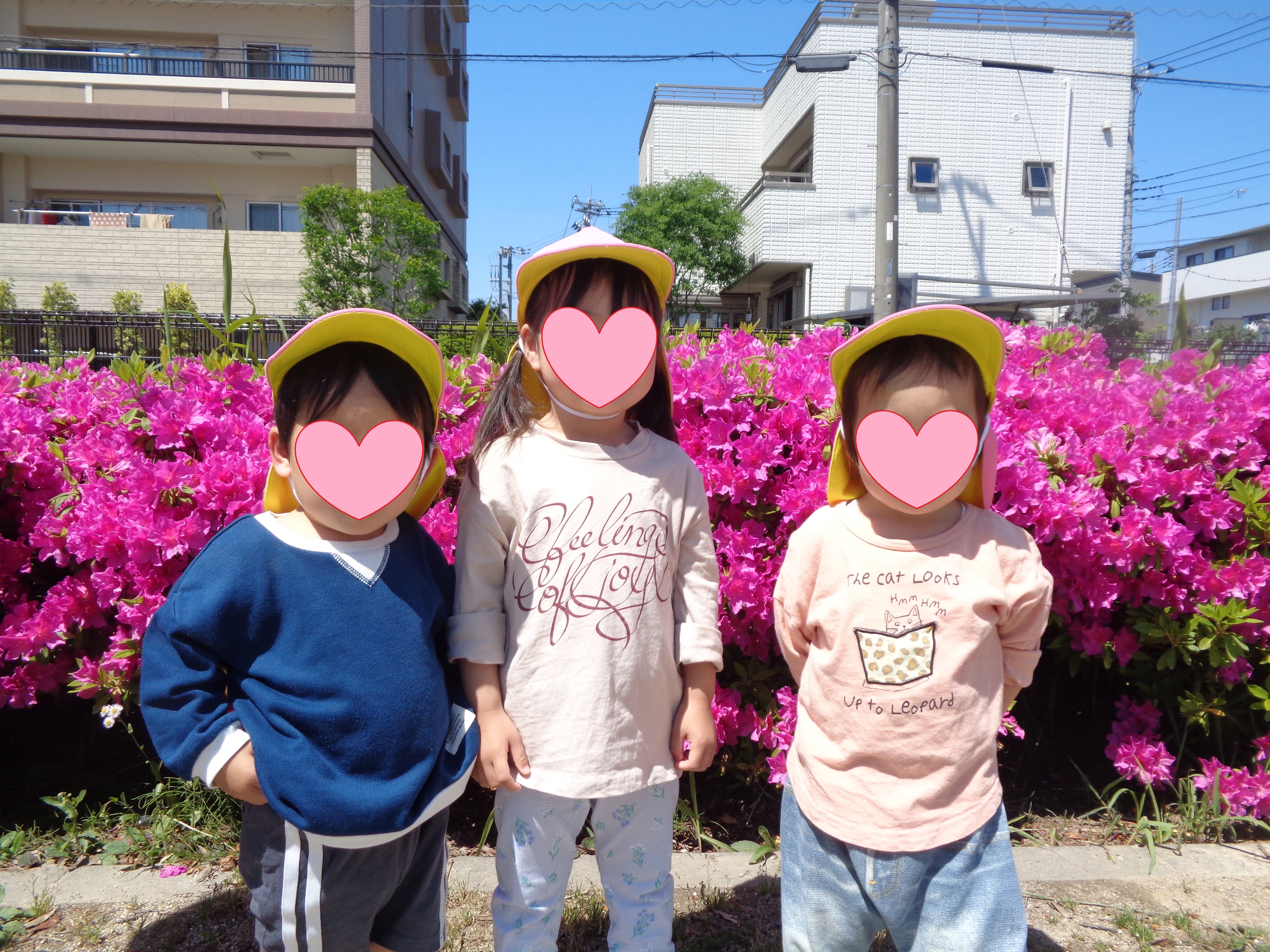 2025年5月西立野