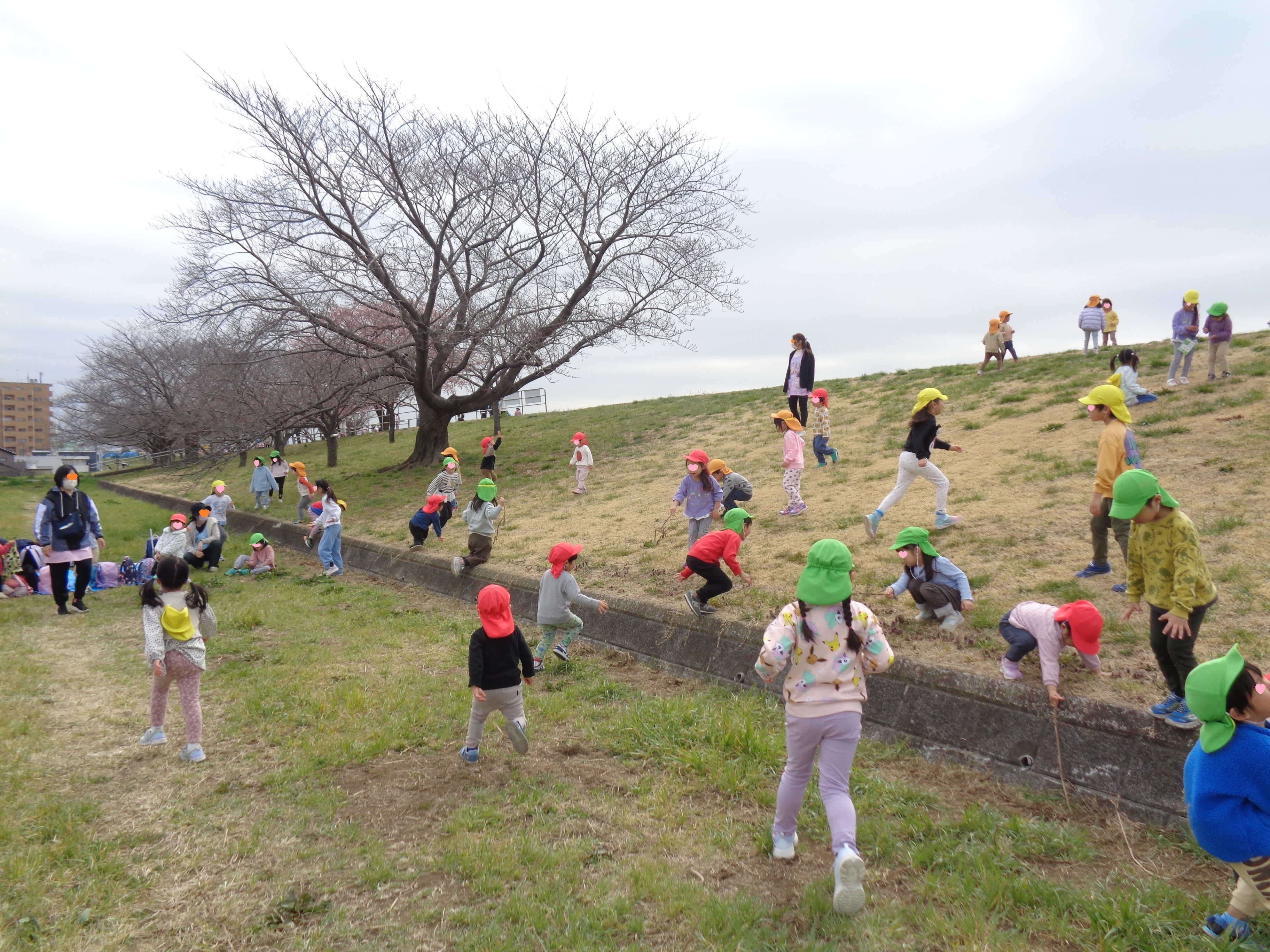 【3月】ブログ写真